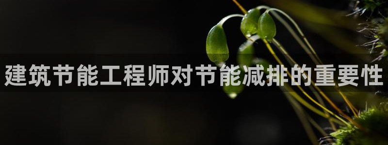 尊亿游戏国际官网