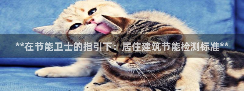 e尊国际官方网站：**在节能卫士的指引下：居住建筑节能检测标准**