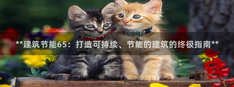 e尊国际娱乐官网下载：**建筑节能65：打造可持续、节能的建筑的终极指南**