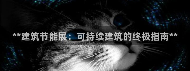 e尊国际的手机登录网站：**建筑节能展：可持续建筑的终极指南**