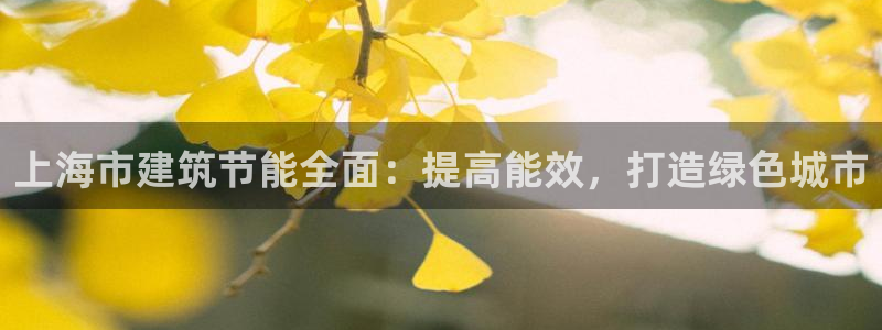 e尊国际官网：上海市建筑节能全面：提高能效，打造绿色城市
