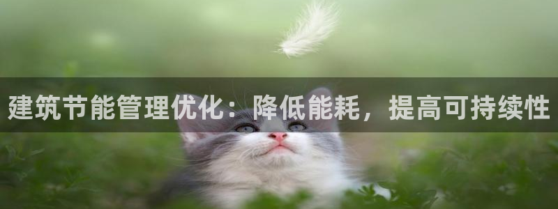 e尊国际的手机登录网站：建筑节能管理优化：降低能耗，提高可持续性