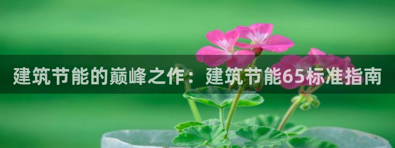 e尊国际网址：建筑节能的巅峰之作：建筑节能65标准指南