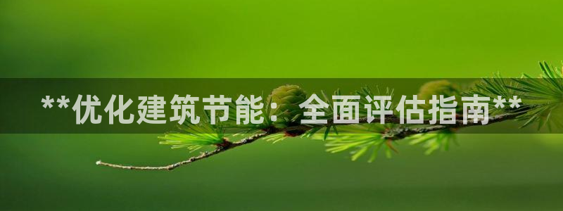 e尊国际是个黑网：**优化建筑节能：全面评估指南**