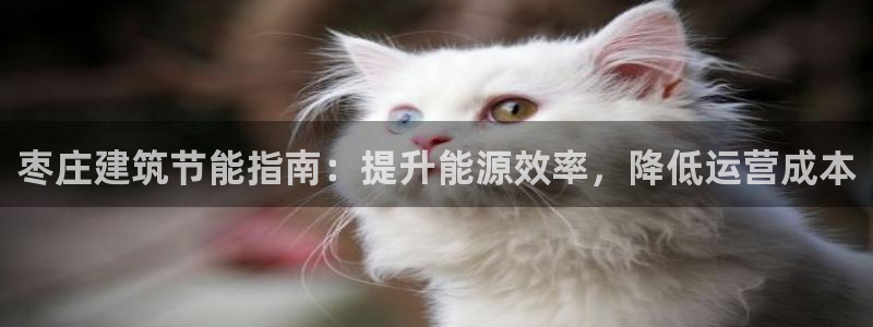 e尊国际地址：枣庄建筑节能指南：提升能源效率，降低运营成本