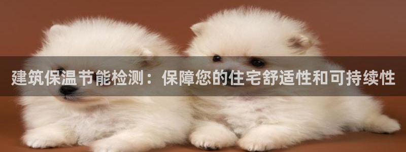 e尊国际的手机登录网站：建筑保温节能检测：保障您的住宅舒适性和可持续性