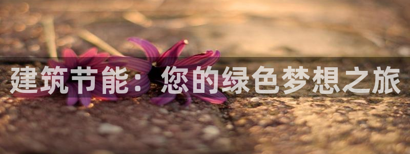 e尊国际地址