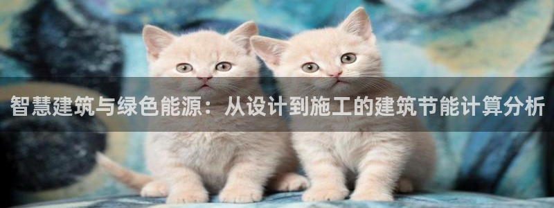 e尊国际官网·网址