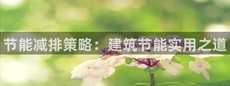 e尊国际app