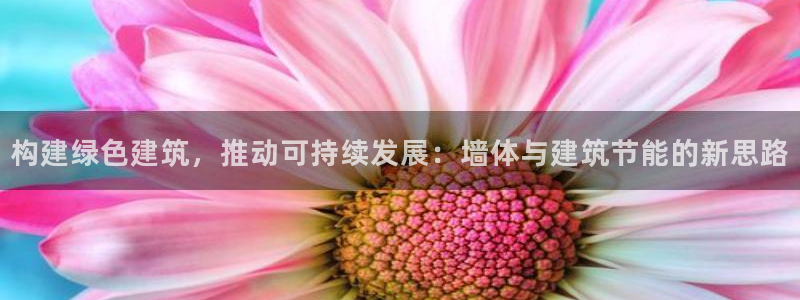 e尊国际娱乐官网下载：构建绿色建筑，推动可持续发展：墙体与建筑节能的新思路