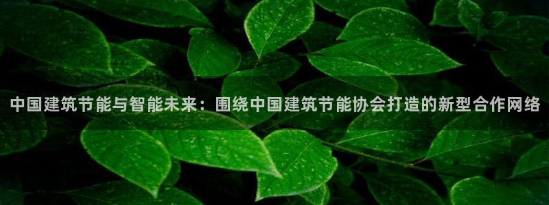 e尊国际平台