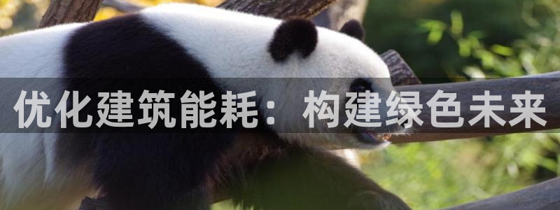 e尊国际娱乐官网下载：优化建筑能耗：构建绿色未来