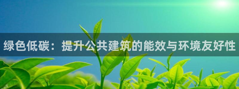 e尊国际可靠吗：绿色低碳：提升公共建筑的能效与环境友好性