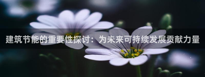 e尊国际娱乐官网地址
