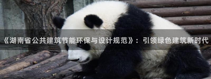 e尊官网