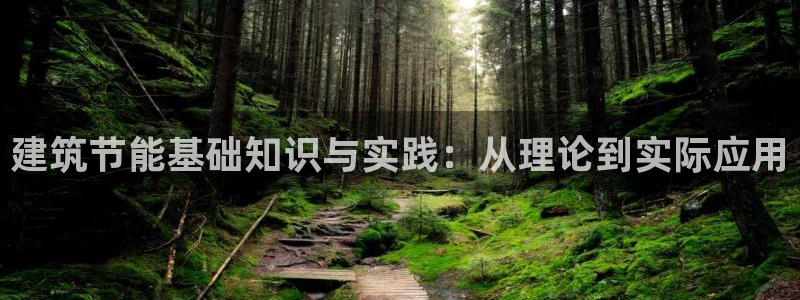 e尊国际是个黑网：建筑节能基础知识与实践：从理论到实际应用
