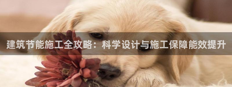 E尊国际网站：建筑节能施工全攻略：科学设计与施工保障能效提升