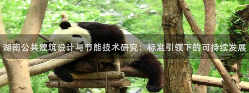 e尊国际是个黑网
