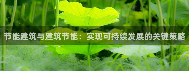 e尊国际的手机登录网站：节能建筑与建筑节能：实现可持续发展的关键策略