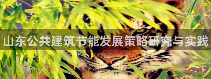 e尊平台：山东公共建筑节能发展策略研究与实践