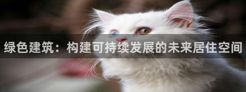 e尊国际官网