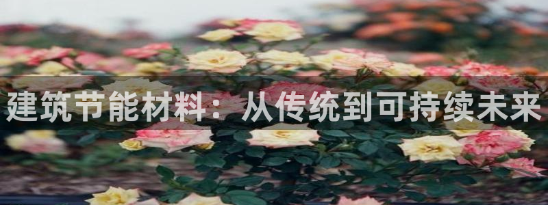 e尊国际是干什么的：建筑节能材料：从传统到可持续未来