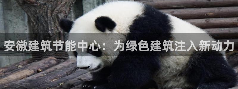 e尊国际娱乐官网地址：安徽建筑节能中心：为绿色建筑注入新动力
