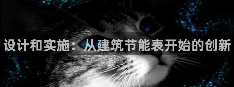 e尊平台：设计和实施：从建筑节能表开始的创新
