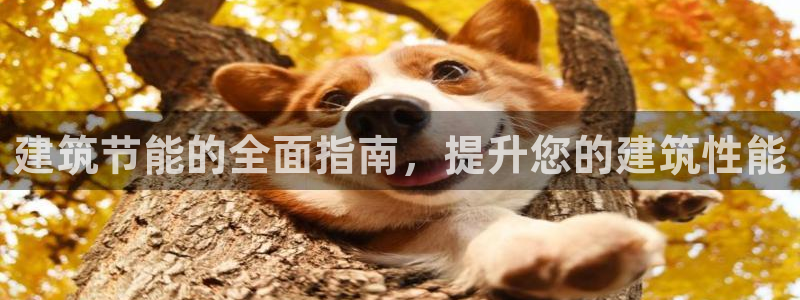 e尊国际app：建筑节能的全面指南，提升您的建筑性能