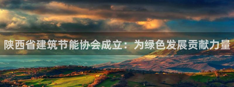 e尊国际客户端下载：陕西省建筑节能协会成立：为绿色发展贡献力量