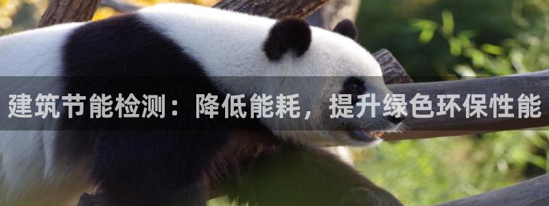 e尊国际-可可计划：建筑节能检测：降低能耗，提升绿色环保性能