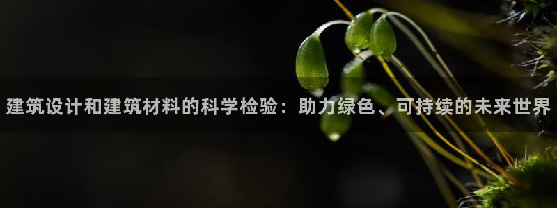 尊亿游戏国际官网