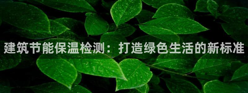 e尊国际7779：建筑节能保温检测：打造绿色生活的新标准