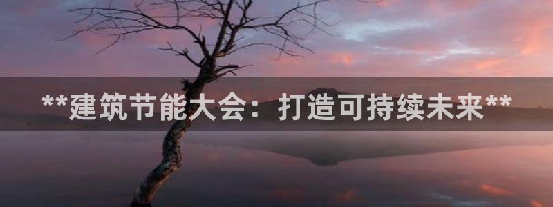 e尊国际-可可计划：**建筑节能大会：打造可持续未来**
