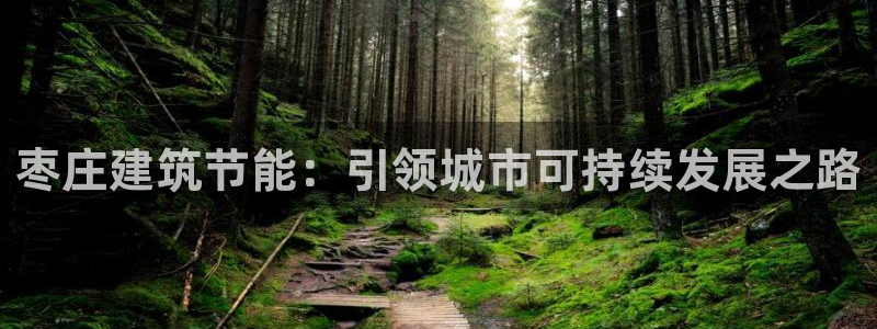 e尊国际地址：枣庄建筑节能：引领城市可持续发展之路