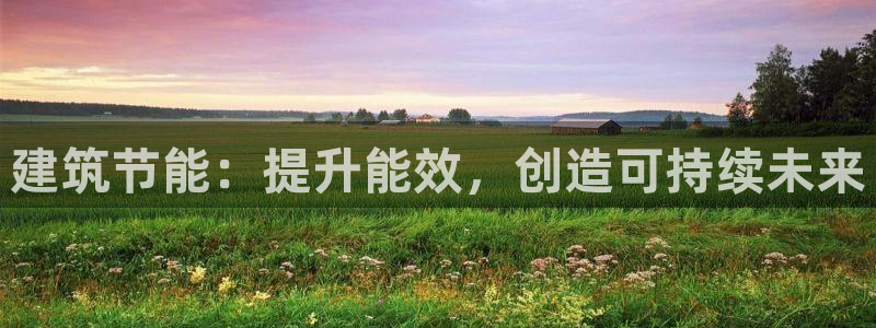 e尊国际可靠吗：建筑节能：提升能效，创造可持续未来