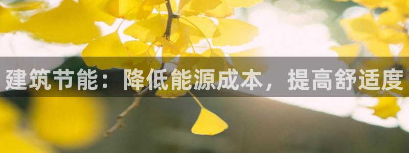E尊国际网站：建筑节能：降低能源成本，提高舒适度