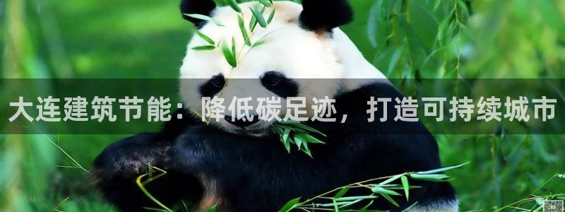 e尊国际客户端下载