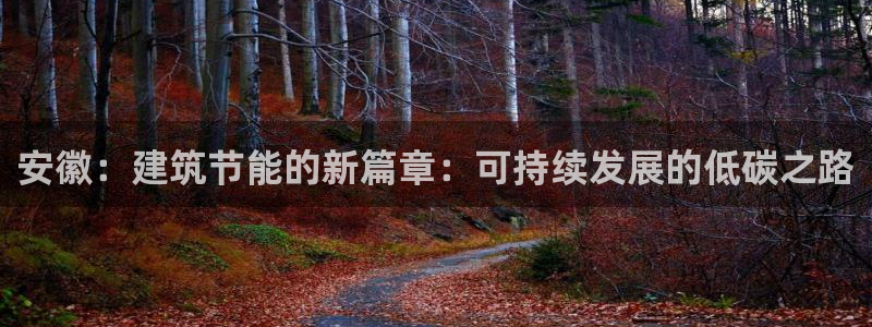 e尊国际娱乐官网下载：安徽：建筑节能的新篇章：可持续发展的低碳之路