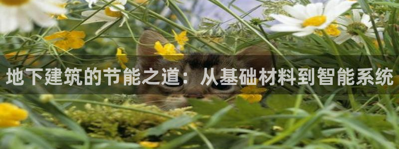 e尊国际官网：地下建筑的节能之道：从基础材料到智能系统