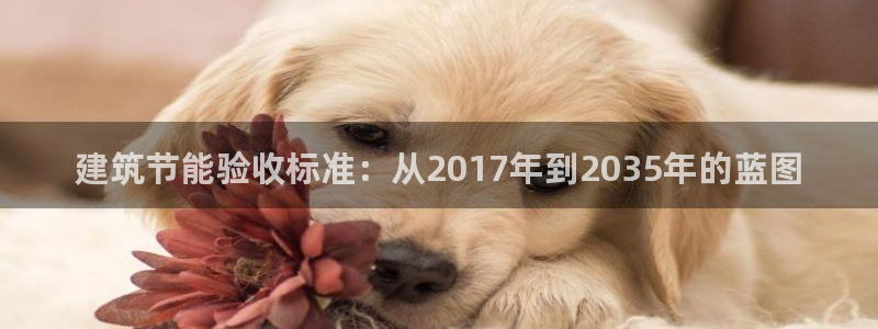 e尊国际可靠吗：建筑节能验收标准：从2017年到2035年的蓝图