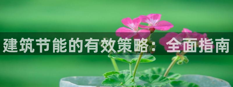 e尊国际平台：建筑节能的有效策略：全面指南