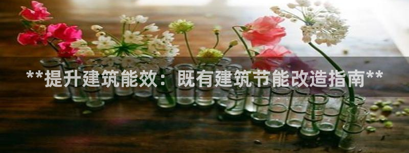 e尊国际网址：**提升建筑能效：既有建筑节能改造指南**