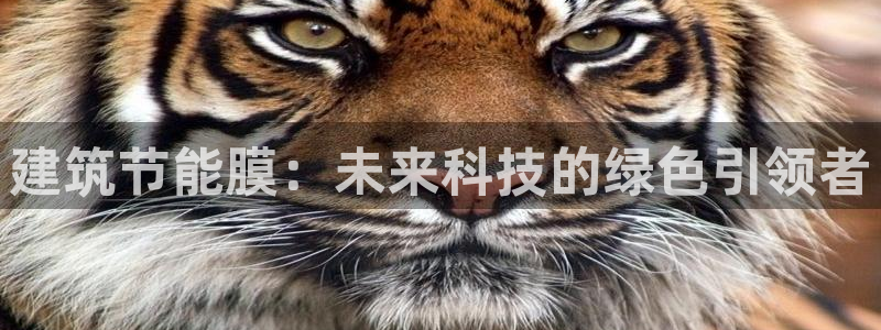 e尊国际官网·网址：建筑节能膜：未来科技的绿色引领者