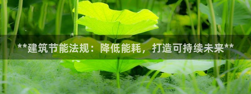 e尊国际客户端：**建筑节能法规：降低能耗，打造可持续未来**
