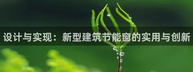 e尊国际客户端：设计与实现：新型建筑节能窗的实用与创新